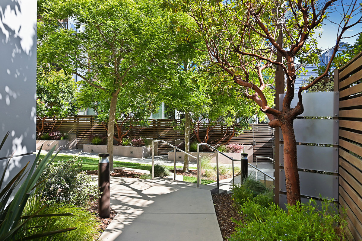 Tree-studded Courtyard