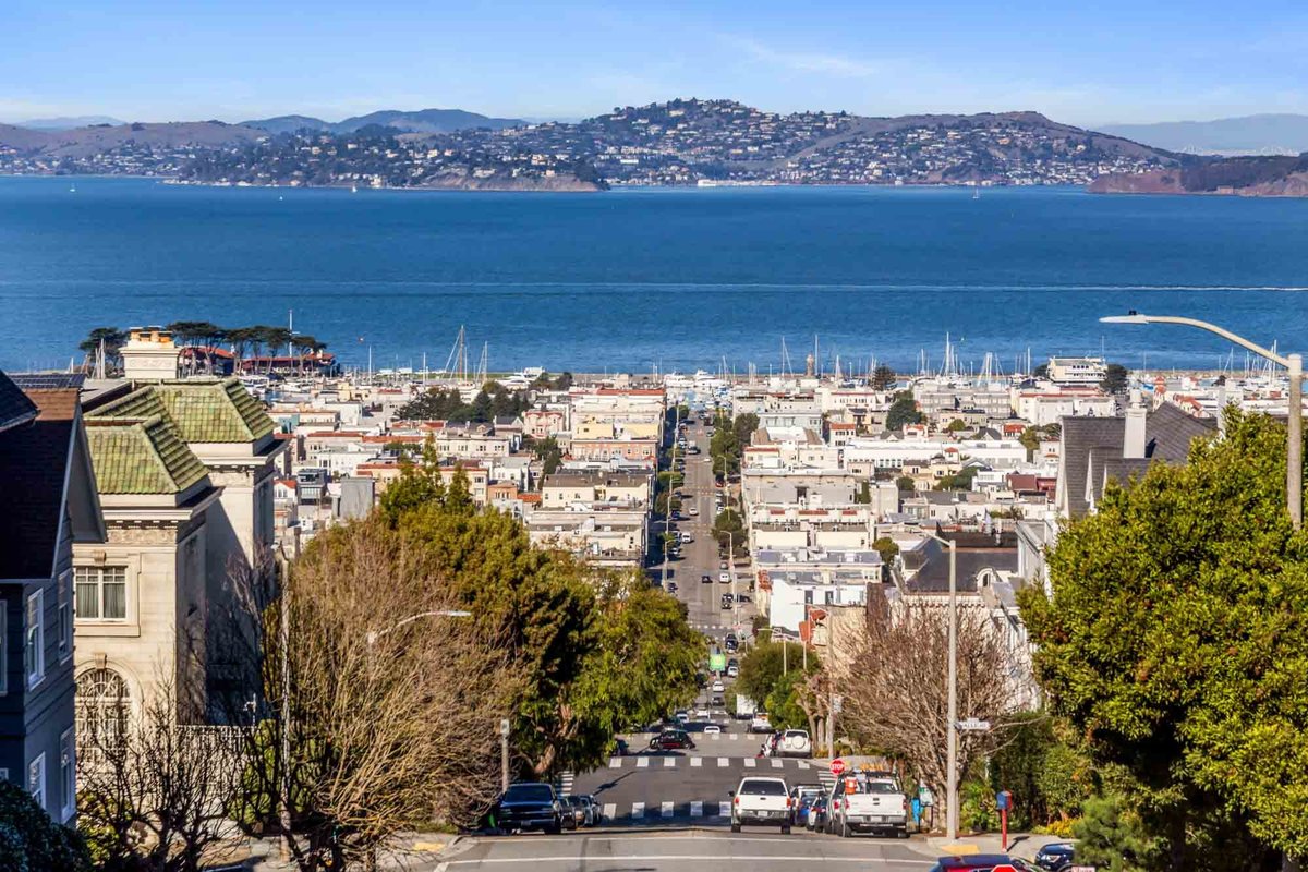 View of Bay from Alta Plaza Park
