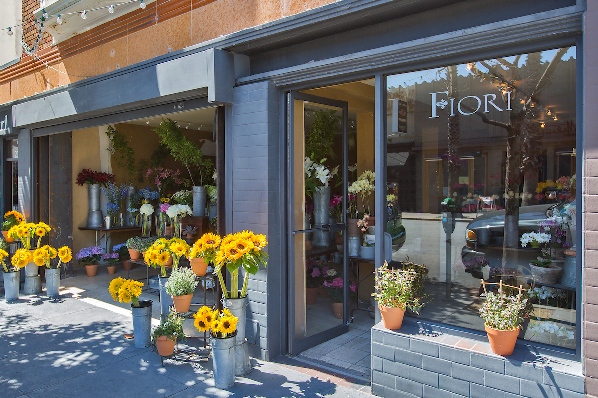 Fiore on Chestnut