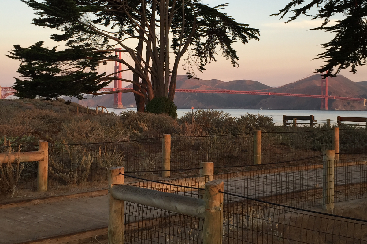 Golden Gate Bridge from Crissy Field