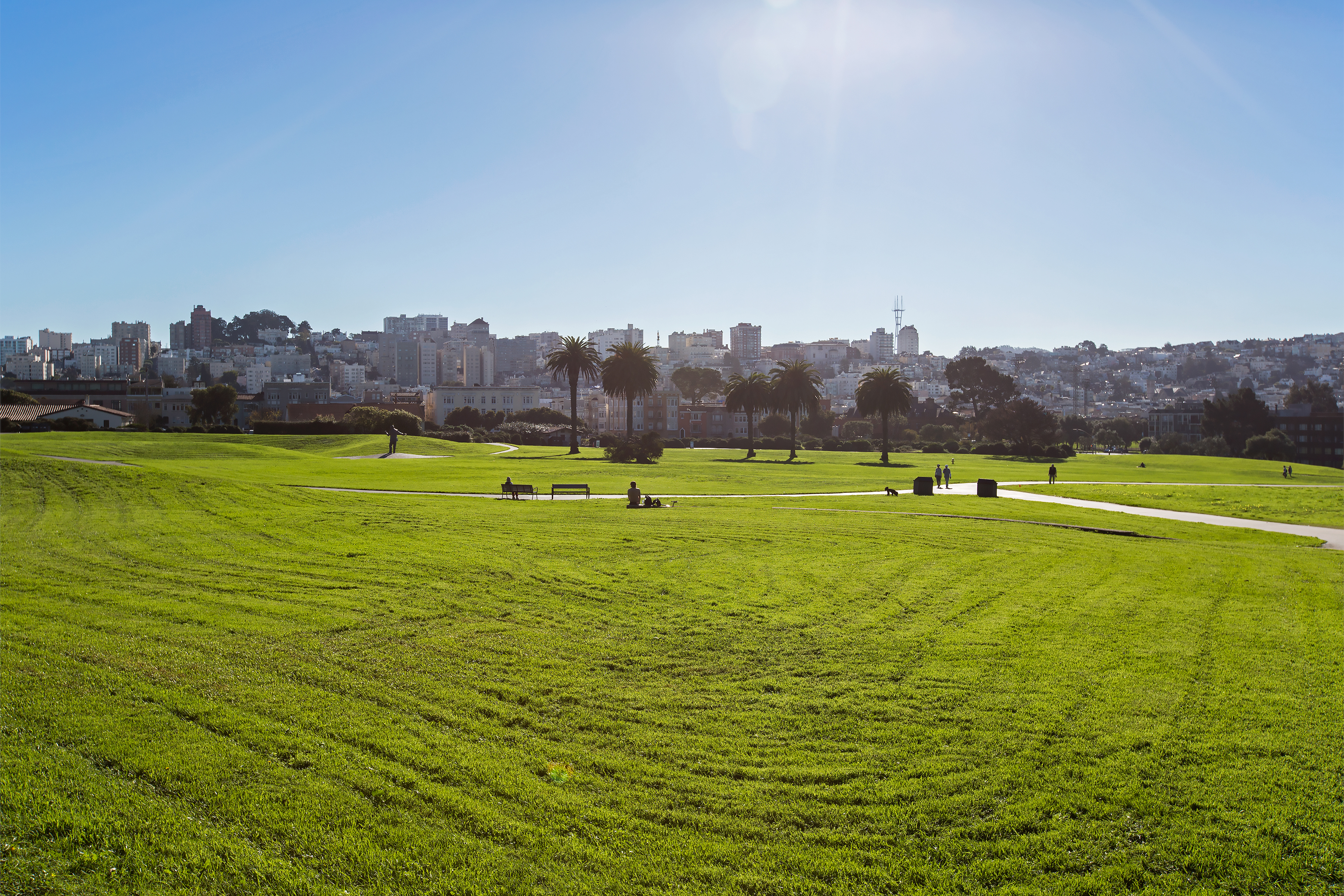 Fort Mason Meadow