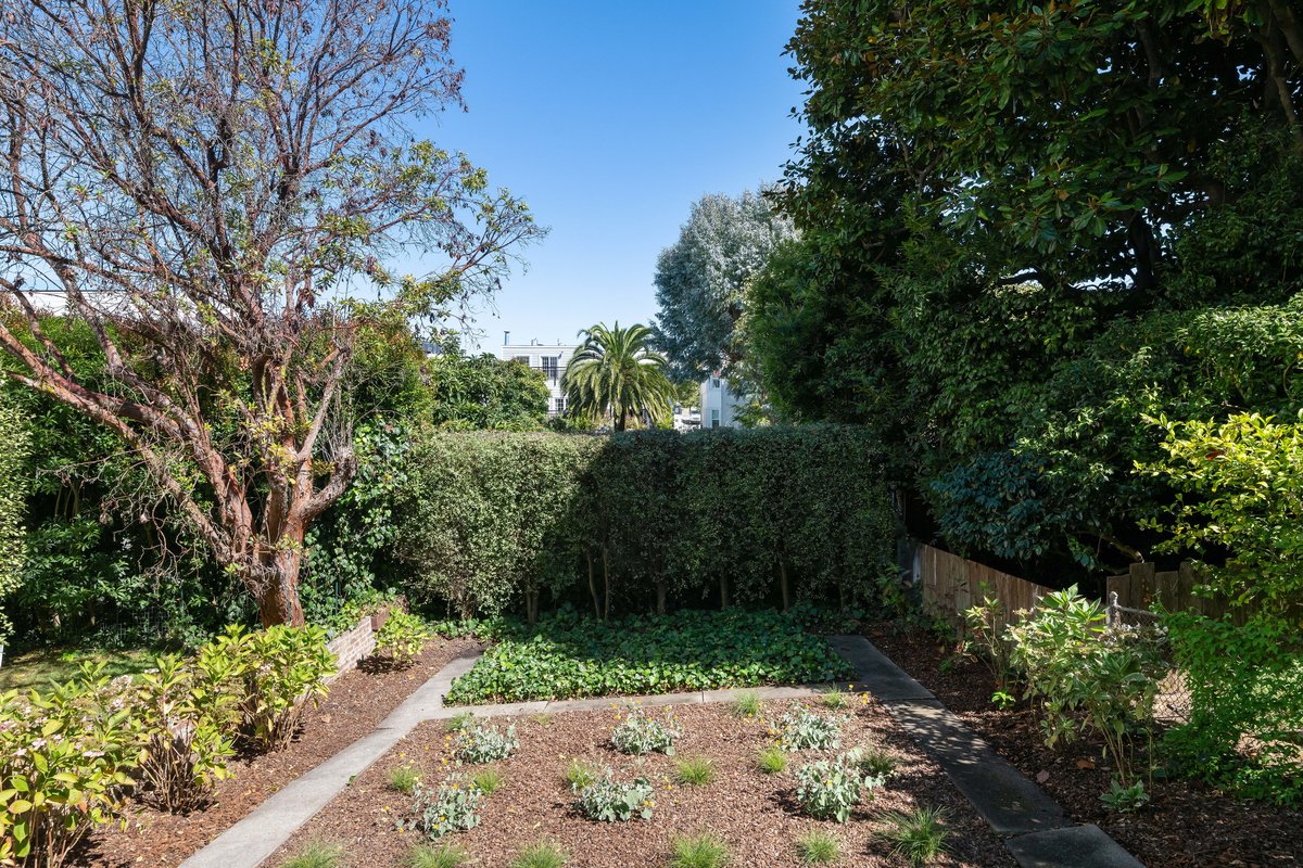 Shared garden with wall of mature hedges