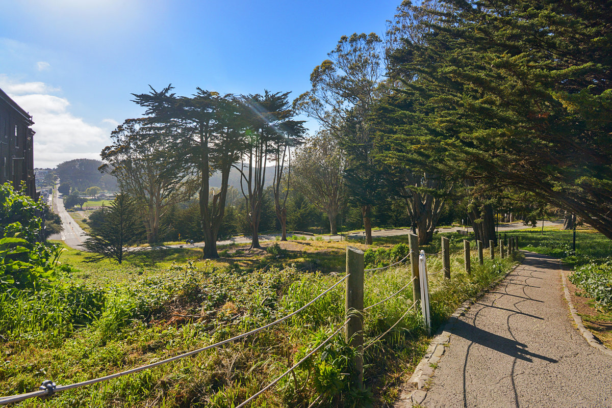 Breathtaking views from the paths within The Presidio